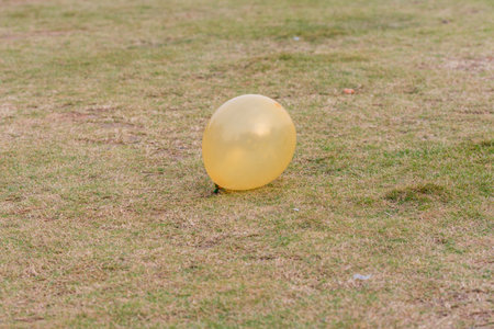 An orange balloon on meadow in the autumnの写真素材