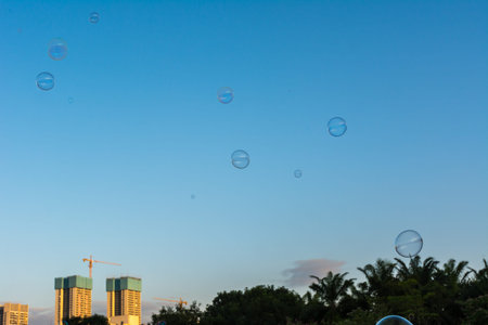 A lot of soap bubbles flying in the park with background of blue sky and tree