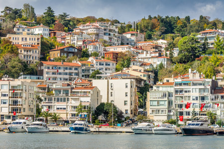 Cityscape of Golden horn with ancient and modern buildings in Istanbul Turkey from the Bosphorus strait on a sunny day with background cloudy skyのeditorial素材