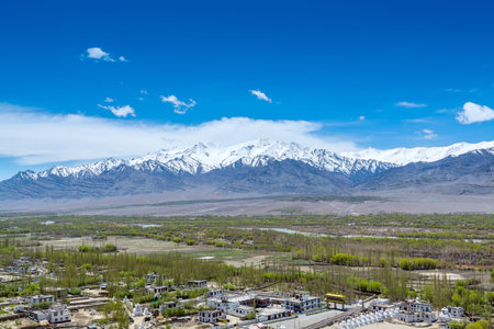 Beautiful landscape with fields, Tibetian buildings, snow mountains, and blue sky, in Ladakh, Kashmir, view from Thiksey Monastery or Thiksey Gompaの写真素材