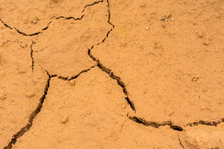 yelloow cracked dry earth textureの写真素材