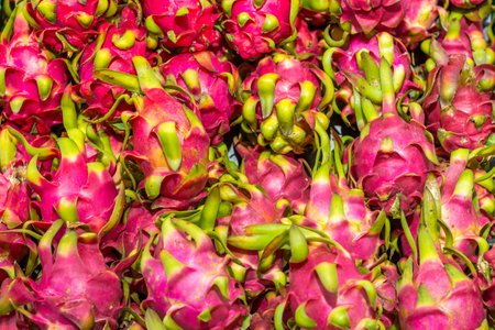 A pile of fresh dragon fruit for sale in the marketの写真素材