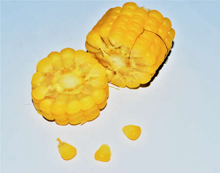 A close up of a sunflower. High quality photoの写真素材