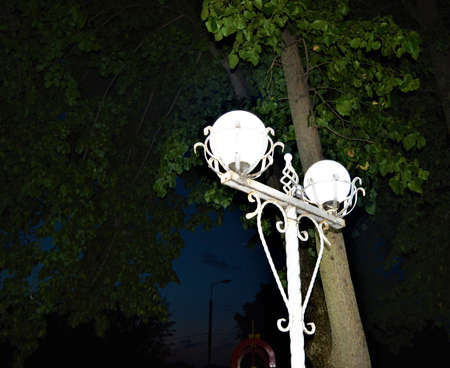 A stone path in a park. High quality photoの写真素材