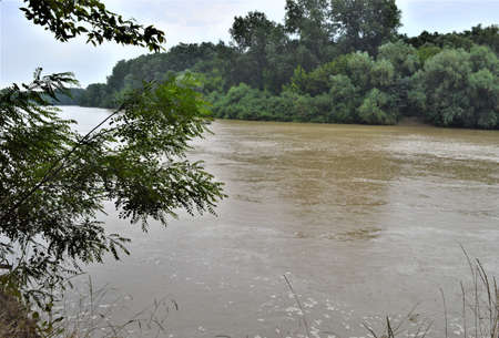 A tree next to a body of water. High quality photoの写真素材