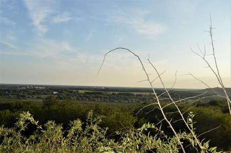 A close up of a dry grass field. High quality photoの写真素材