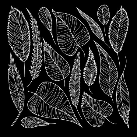 White leaves line work. Isolated on black background. Hand drawn line vector illustration.のイラスト素材