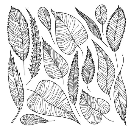 Black leaves line work. Isolated on white background. Hand drawn line vector illustration.のイラスト素材