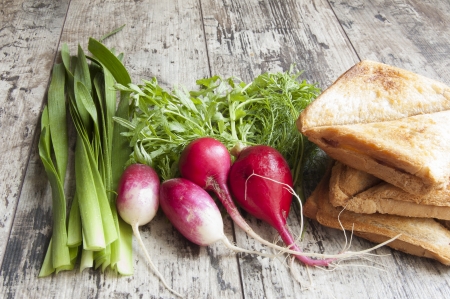 Fresh vegetables (onion, radish, dill, salad) and sandwiches, horizontal snapshotの写真素材