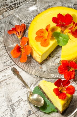 Pumpkin cheesecake decorated with fresh flowers. From the series "Pumpkin Cheesecake"の写真素材