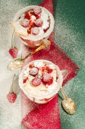 Christmas dessert in a glass with decoration. From series "Cranberry-raspberry trifle"の写真素材