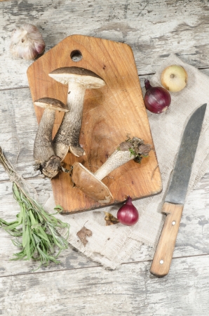 Wild mushrooms on cutting board. From the series "Mushrooms in our kitchen"の写真素材