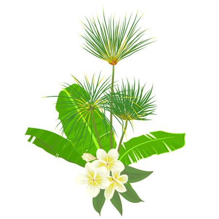 Hand drawn tropical palm leaves composition with jungle exotic flower on white background Botanical vector illustration. Fashion textile print, summer floral wallpaper. Vector illustration,のイラスト素材