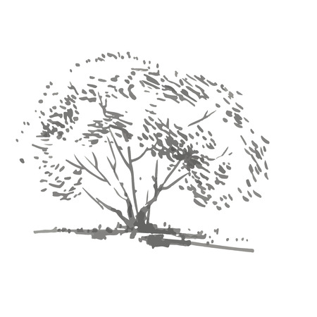 Hand-drawn bush. Realistic image in shades of gray, sketch painted with ink brush. Vector illustrationのイラスト素材