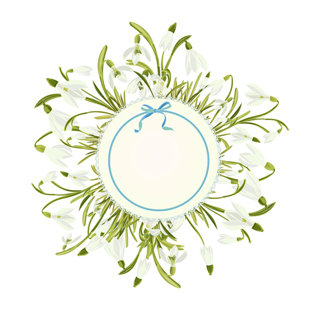 Spring floral abstract template background with snowdrop flower and place for text. Good idea for elegant poster, wedding invitation, Easter postcard, birthday card, baby shower. Vector illustration.のイラスト素材