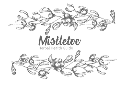 Set of hand drawn botanical sketch mistletoe branches. Vintage style. Traditional christmas decoration. For design holiday card, invitation, poster, banner. Vector illustrationのイラスト素材