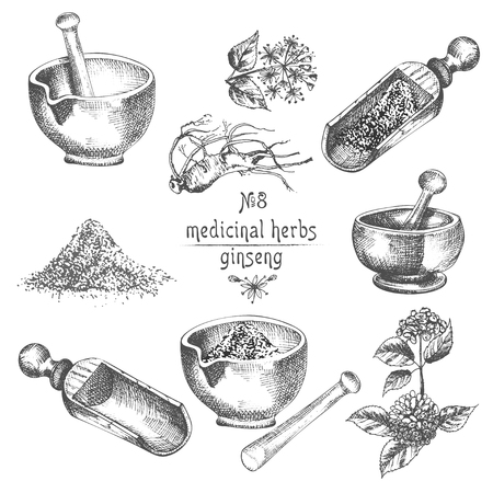 Realistic Botanical ink sketch of ginseng root, flowers, berries, bottle, mortar and pestle isolated on white background, floral herbs collection. Medicine plant. Vintage rustic vector illustration.のイラスト素材