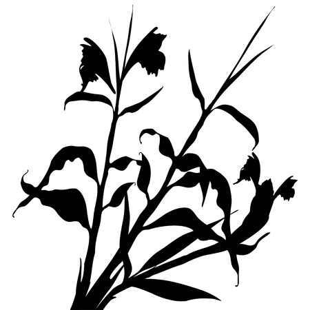 Pattern with black tropical leaves and flowers silhouette shadow isolated on white background. Vintage fabric textile, fashion summer print design, exotic poster. Vector illustrationsのイラスト素材