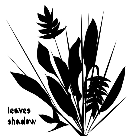 Pattern with black heliconia tropical leaves silhouette shadow isolated on white background. Vintage fabric textile, fashion summer print design, exotic poster. Vector illustrationsのイラスト素材