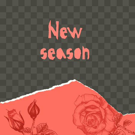 Trendy easy editable template for social media post in torn paper style. Roses flower theme Creative design background for individual and corporate web promotion, blogs. Vector illustration.のイラスト素材