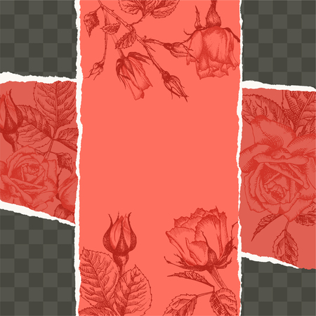 Trendy easy editable template for social media post in torn paper style. Roses flower theme Creative design background for individual and corporate web promotion, blogs. Place for photo and textのイラスト素材