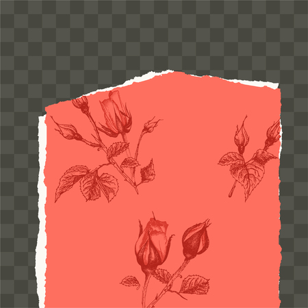 Trendy easy editable template for social media post in torn paper style. Roses flower theme Creative design background for individual and corporate web promotion, blogs. Place for photo and textのイラスト素材