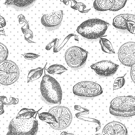 Seamless pattern hand drawn of Ginger roots, lemon, lives and flowers in black color white background. Retro vintage graphic design Botanical sketch drawing, engraving style. Vector illustration.のイラスト素材