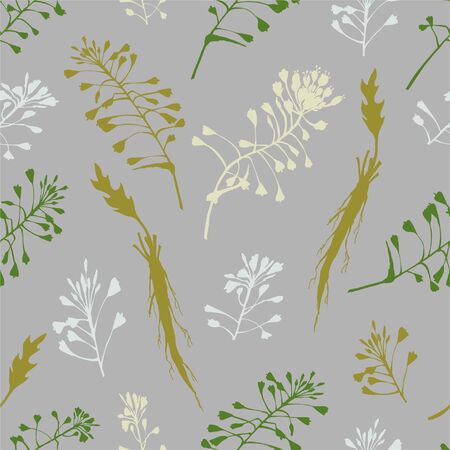 Seamless pattern with color hand drawn silhouette of Shepherds Purse, lives and flowers isolated on gray background. Retro vintage graphic design. Botanical drawing, Vector illustration.のイラスト素材