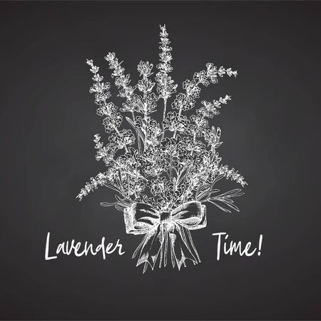 Bouquet of hand drawn sketch of Lavender flower and cute bows isolated on chalkboard background. France provence retro pattern for romantic fresh design concept Natural lavander Vintage style Vectorのイラスト素材