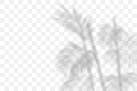 Transparent natural plant shadow. Light effect overlay. Mesh grid. Presentation your design card, poster, stories Photo realistic vector illustrationのイラスト素材