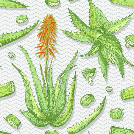 Seamless pattern with hand drawn Aloe vera lives and flower in green and red color on gray chevron background. Retro vintage engraving graphic design Botanical sketch drawing, Vector illustration.のイラスト素材