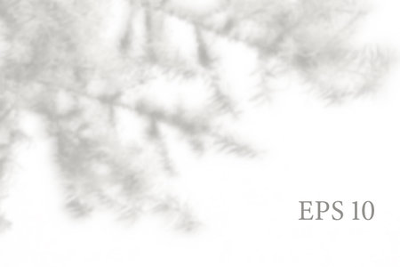 Transparent natural tree branches shadow. Light effect overlay. Mesh grid. Presentation your design card, poster, stories Photo realistic vector illustrationのイラスト素材