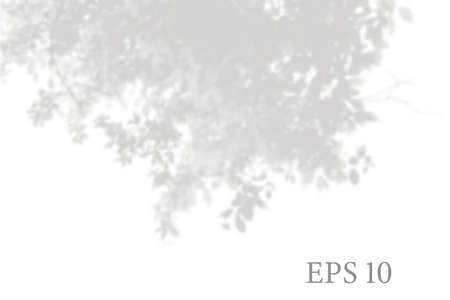 Transparent natural tree branches shadow. Light effect overlay. Mesh grid. Presentation your design card, poster, stories Photo realistic vector illustrationのイラスト素材