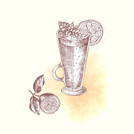 Alcoholic cocktail drink Hand drawn sketch art, watercolor background Christmas Mulled red wine, xmas spices Vintage design for bar, restaurant, cafe menu, flyer, banner, poster Engraving style vectorのイラスト素材