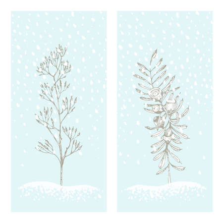 Set christmas new year card with yew tree and dried flowers Winter plants isolated on blue snow background. Hand-drawn vintage sketch botanical art. Engraving style. Flat color Vector illustrationのイラスト素材