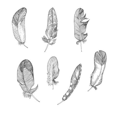 Set Realistic sketch of bird Feather on isolated background. Detailed ink Line pen Clip Art, Black and White Boho Clipart. Hand Drawn engraving style plume. Vintage Vectorのイラスト素材