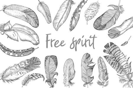 Realistic sketch of bird Feather on isolated background. Rectangular banner. Detailed ink Line pen Clip Art, Black and White Boho Clipart. Hand Drawn engraving style plume. Vintage Vectorのイラスト素材