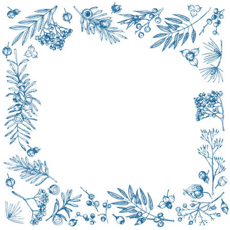 Hand-drawn sketch christmas plants frame with pine cones, berries, branches, leaves in engraving style. Vintage herbal border. Xmas retro decor Wedding graphic Hello, winter. Vector.のイラスト素材