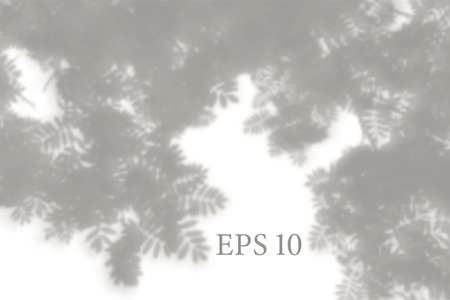 Natural plant shadow. Mesh soft overlay light effects transparent on white wall. Template for design presentation card, poster, stories Photo realistic vectorのイラスト素材