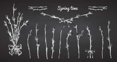 Pussy Willow branches set. Spring bouquet with ribbon bow. Chalk Hand-drawn sketch black and white design isolated on chalkboard background. Outline Sunday Easter symbol collection. Vectorのイラスト素材