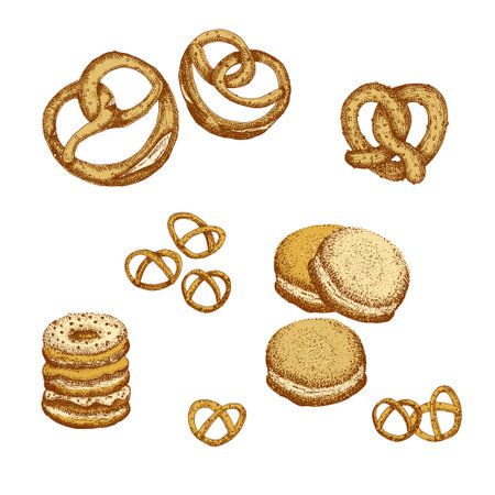 Tasty pretzel, donut. Brezel sketch hand drawn, engraving, ink art. German food. Design for cafe restaurant menu. Octoberfest poster, banner emblem sticker. Vector illustrationのイラスト素材