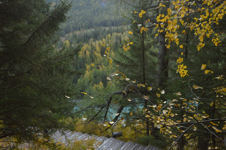 Nature view from the Kanas Lake Roadの写真素材