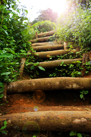 Natural staircase at the greenery outdoor gardenの写真素材