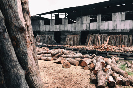 Exterior appearance of the wood factory.の写真素材