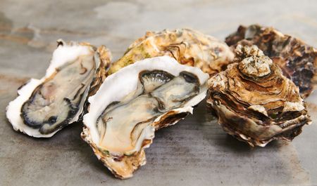 fresh oyster on mable table top ready to serveの写真素材