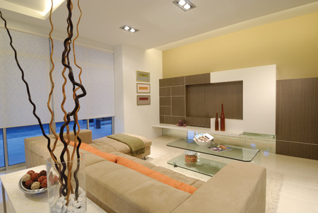 residential living design with sofa, lighting and decoration.の写真素材