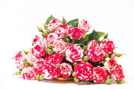 Bouquet of pink roses is in wooden box on a white background. Flowers are horizontal close-upの写真素材