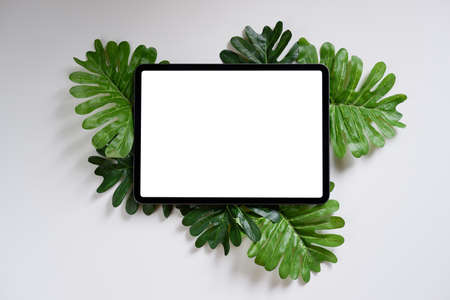Digital tablet, blank screen and leaves on a white tableの写真素材