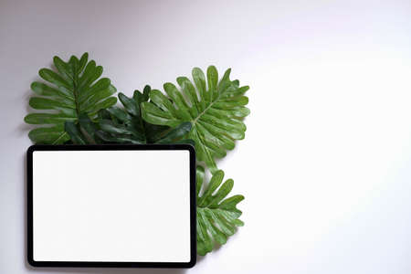 Digital tablet, blank screen and leaves on a white tableの写真素材