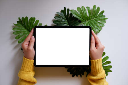 Woman using a mobile phone, blank screen on a white desk with green leavesの写真素材